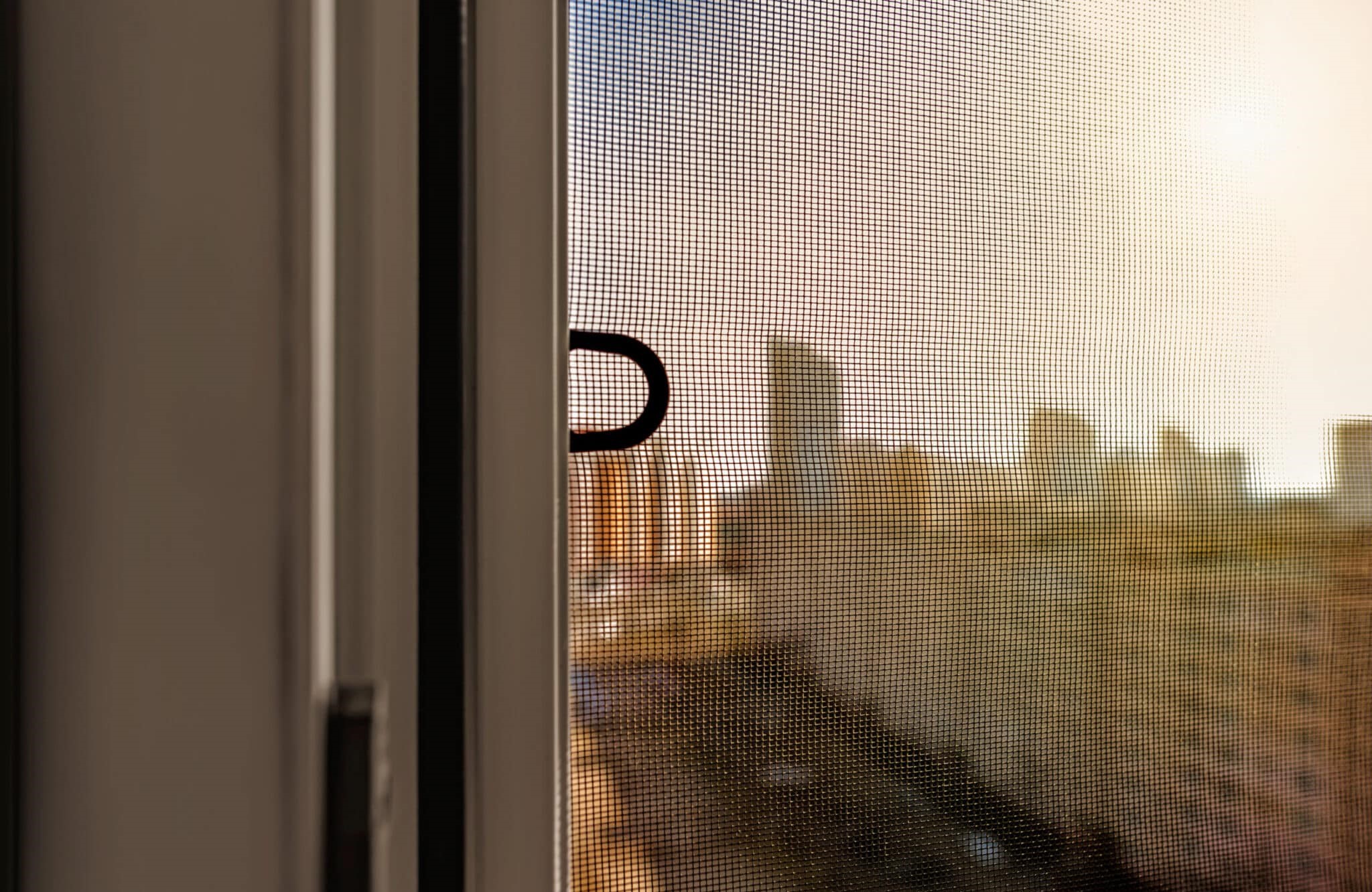 Mosquito Screen on a Window