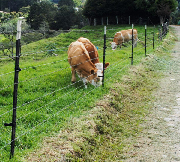 Poste Ganadero Tipo "T" (Paq. 10 Pzas)
