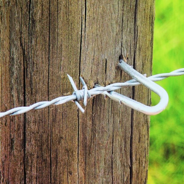 Grapa Galvanizada 25 KG